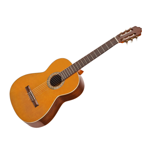 Close-up of an acoustic guitar showing strings and fretboard